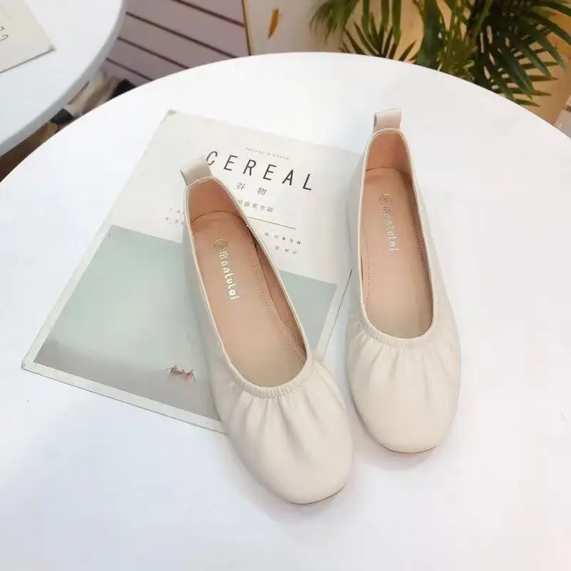 Women Shoes Quick Delivery - Korean Style Ladies Footwear Casual Women's